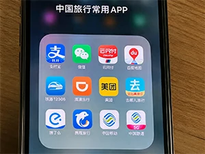 Visitor confused while using local apps for payment maps taxis food delivery tickets and translation